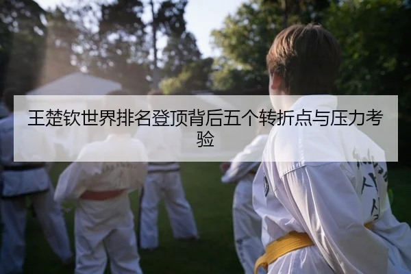 王楚钦世界排名登顶背后五个转折点与压力考验